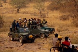 Ranthambore Safari Vehicles