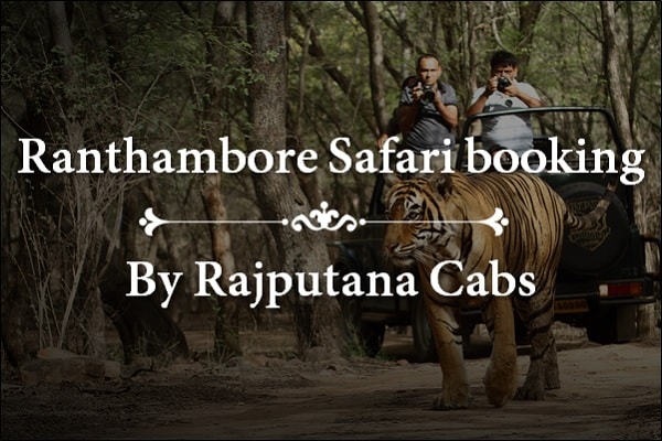 Ranthambore Safari booking