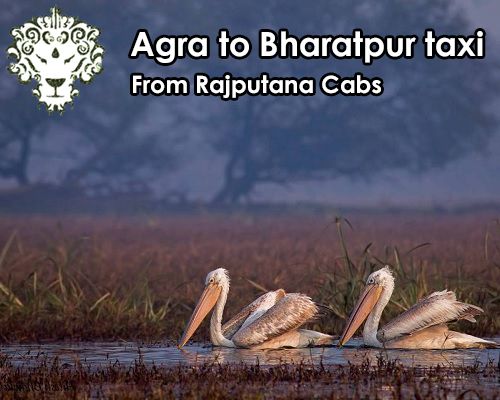 Agra Bharatpur taxi package