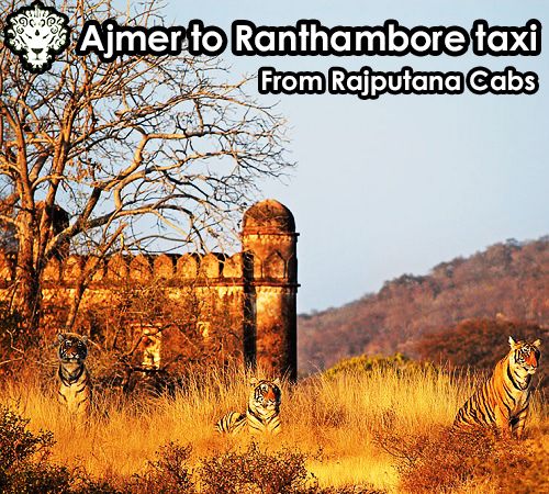 Ajmer to Ranthambore taxi from Rajputana Cabs