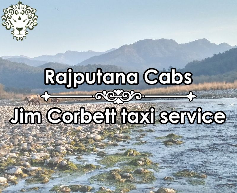 taxi service in Jim Corbett from Rajputana Cabs