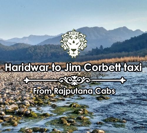 Haridwar to Jim Corbett taxi from Rajputana Cabs
