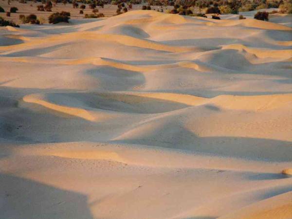 Khuri Sand Dunes RJ