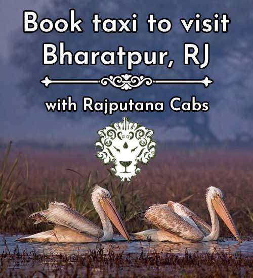 Taxi for Bharatpur from Rajputana Cabs