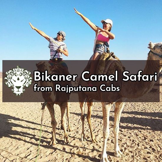 Bikaner desert safari from Rajputana Cabs
