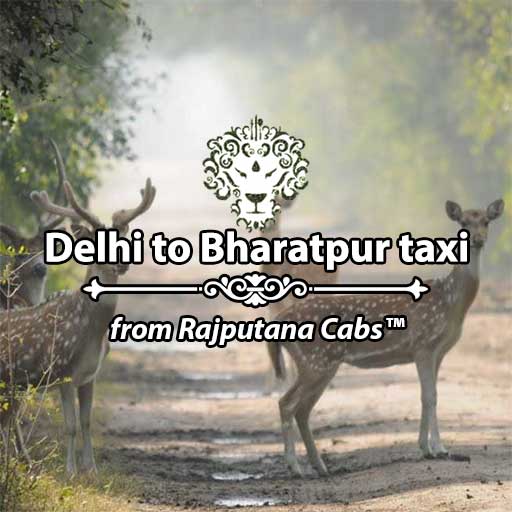 Delhi to Bharatpur taxi from Rajputana Cabs