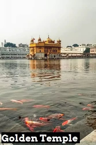 golden temple amritsar pb