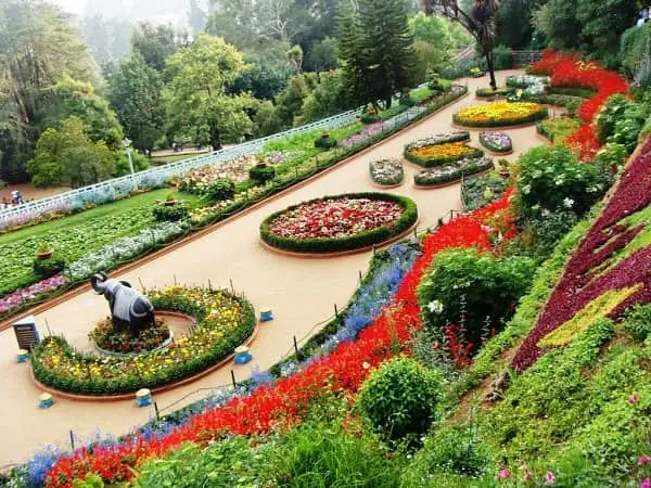 zakir hussain rose garden chd