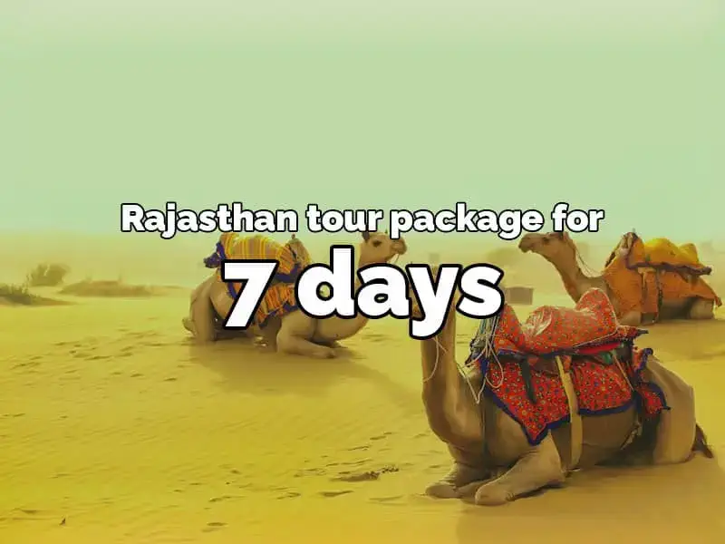 7 days rajasthan tour package from rajputana cabs