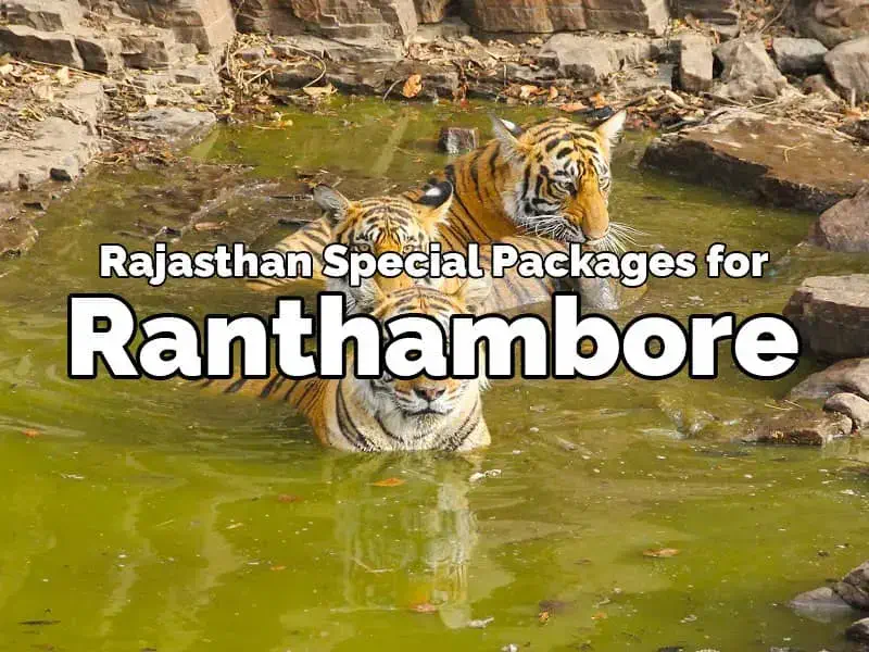 rajasthan special ranthambore tour packages