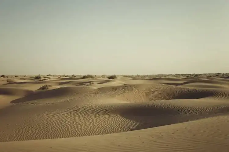 sam sand dunes jaisalmer rj