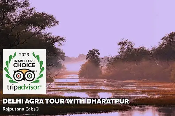 delhi agra tour package with bharatpur from rajputana cabs